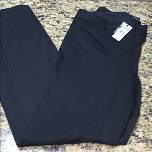 Express dress pants